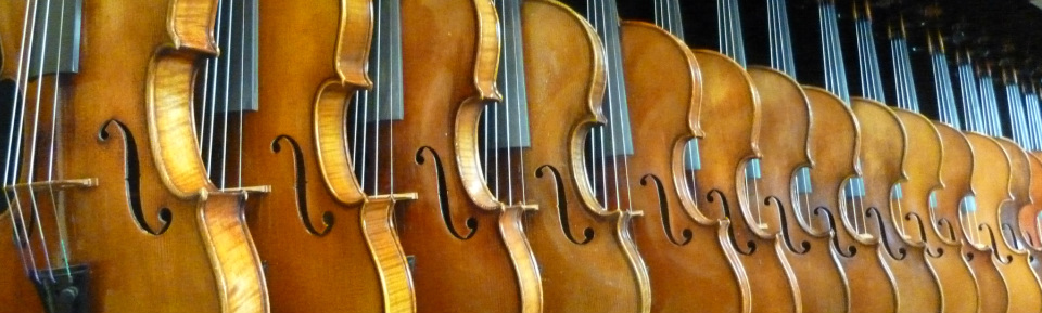 - David Kerr Violin